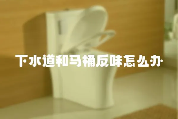下水道和馬桶反味怎么辦