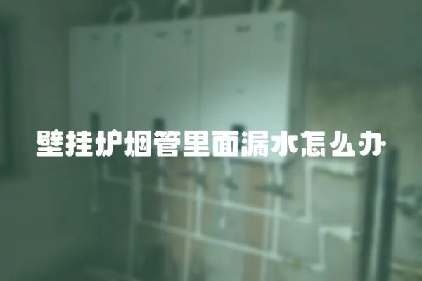 壁掛爐煙管里面漏水怎么辦