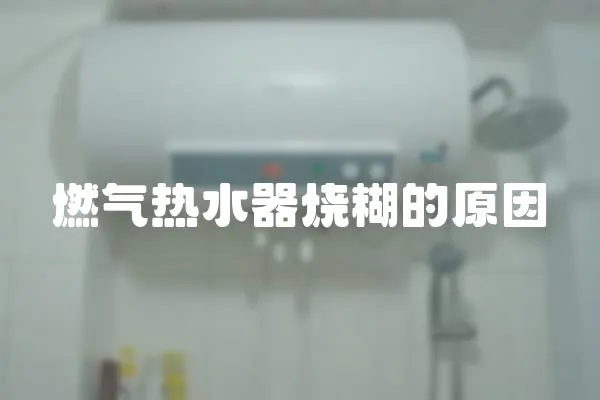 燃氣熱水器燒糊的原因