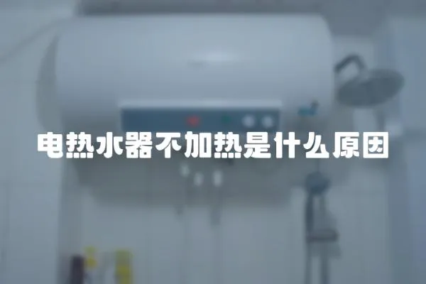 電熱水器不加熱是什么原因