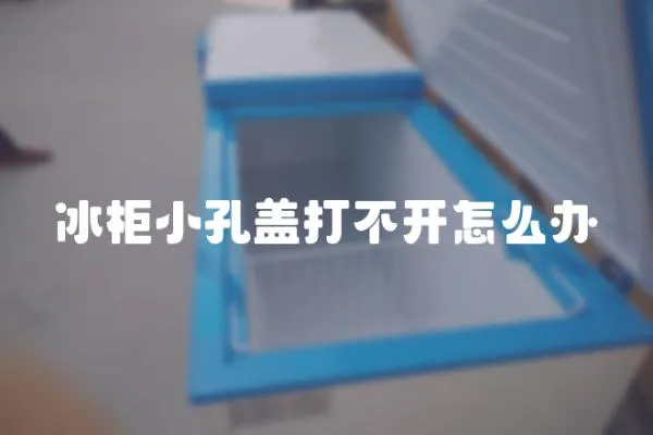 冰柜小孔蓋打不開怎么辦