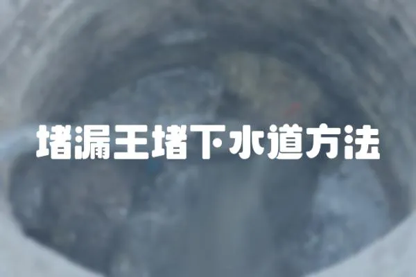 堵漏王堵下水道方法