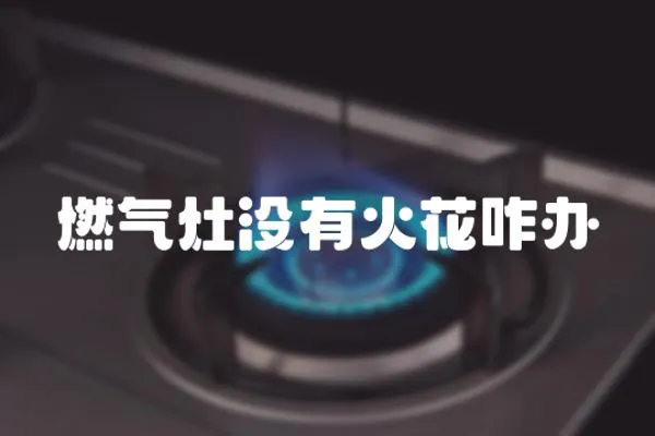 燃?xì)庠顩]有火花咋辦