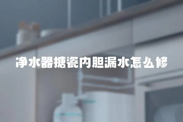 凈水器搪瓷內膽漏水怎么修