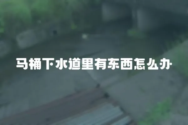 馬桶下水道里有東西怎么辦