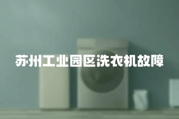 蘇州工業(yè)園區(qū)洗衣機(jī)故障