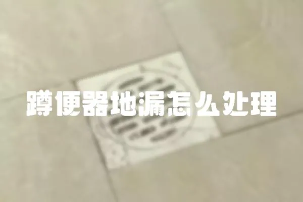 蹲便器地漏怎么處理