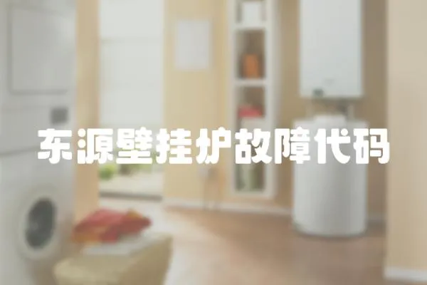 東源壁掛爐故障代碼