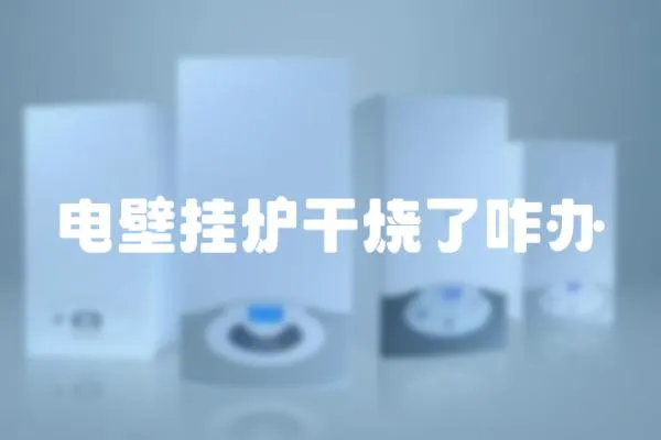 電壁掛爐干燒了咋辦