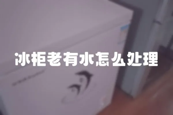 冰柜老有水怎么處理