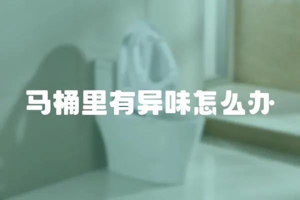 馬桶里有異味怎么辦