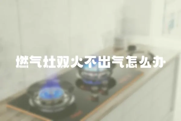 燃?xì)庠铍p火不出氣怎么辦
