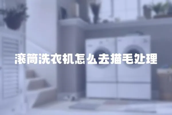 滾筒洗衣機怎么去貓毛處理