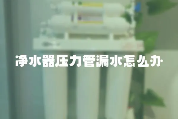 凈水器壓力管漏水怎么辦