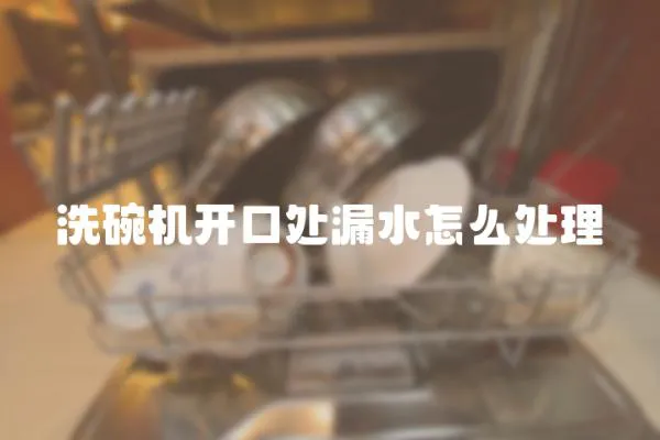洗碗機開口處漏水怎么處理