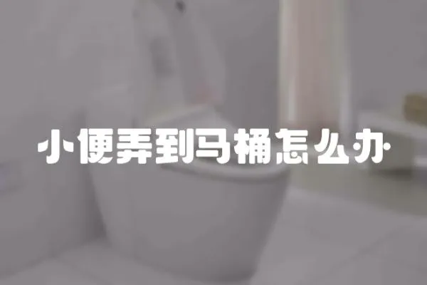 小便弄到馬桶怎么辦