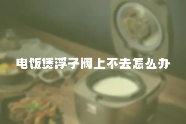 電飯煲浮子閥上不去怎么辦