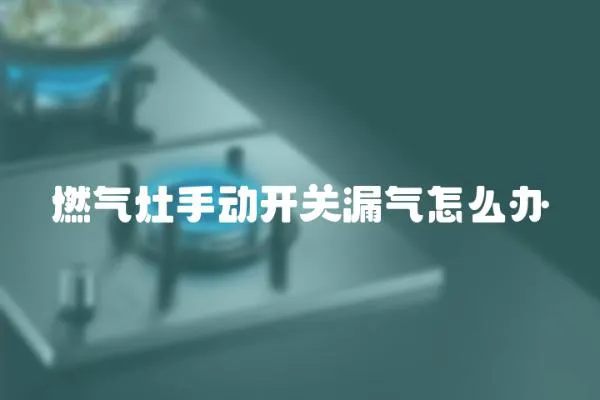 燃氣灶手動開關漏氣怎么辦