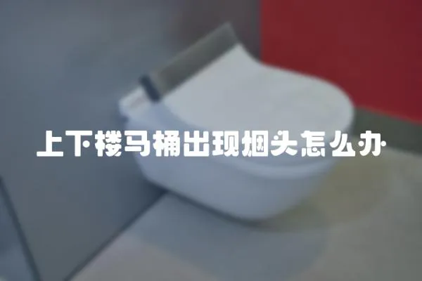 上下樓馬桶出現煙頭怎么辦