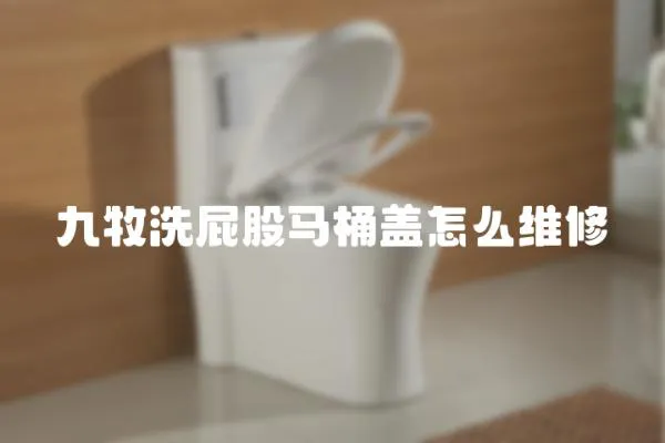 九牧洗屁股馬桶蓋怎么維修