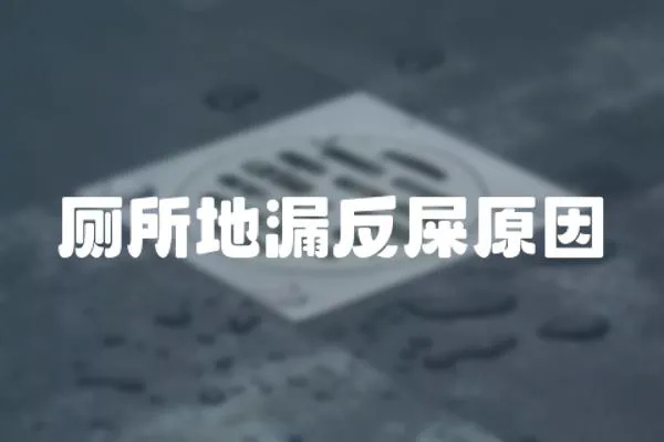 廁所地漏反屎原因