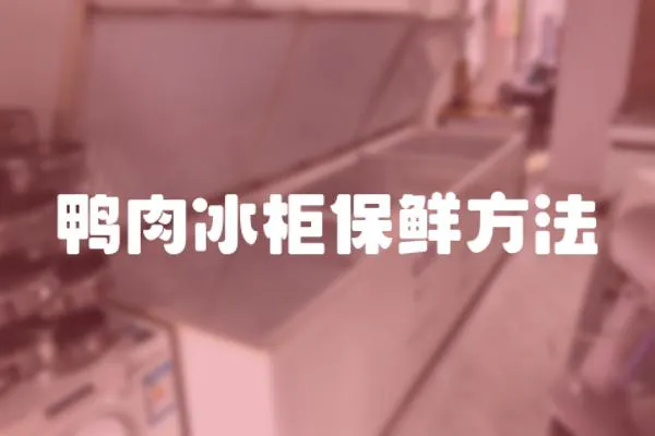 鴨肉冰柜保鮮方法