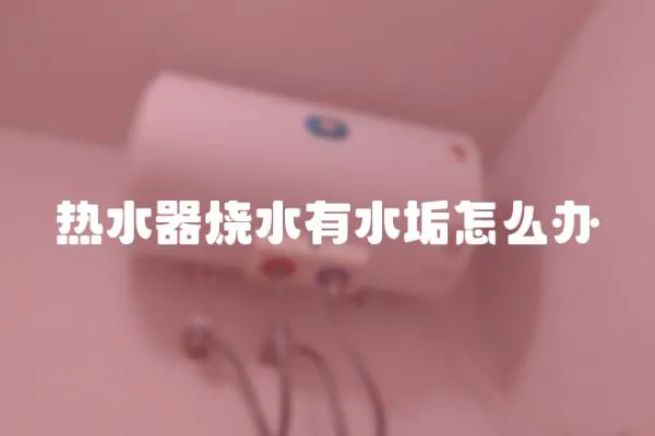 熱水器燒水有水垢怎么辦