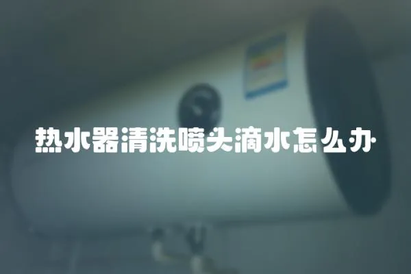 熱水器清洗噴頭滴水怎么辦