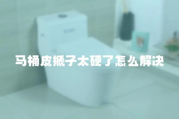馬桶皮搋子太硬了怎么解決
