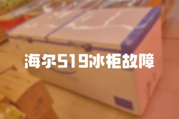 海爾519冰柜故障