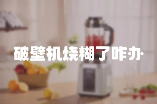 破壁機燒糊了咋辦