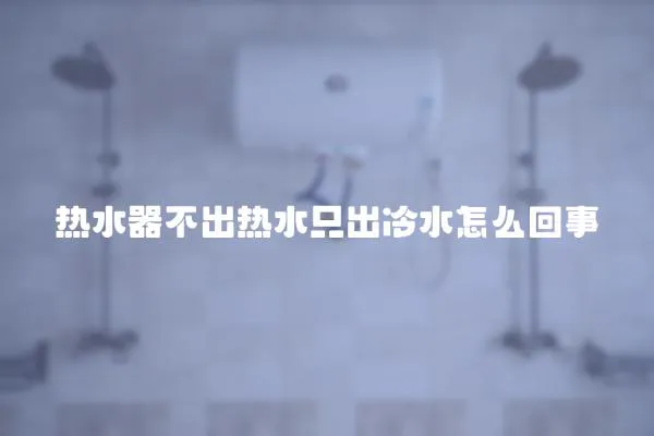 熱水器不出熱水只出冷水怎么回事