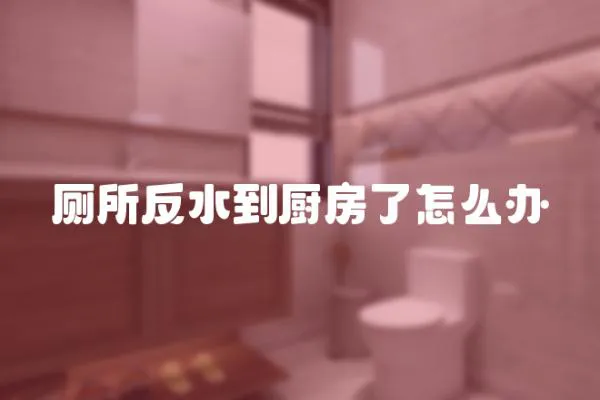 廁所反水到廚房了怎么辦