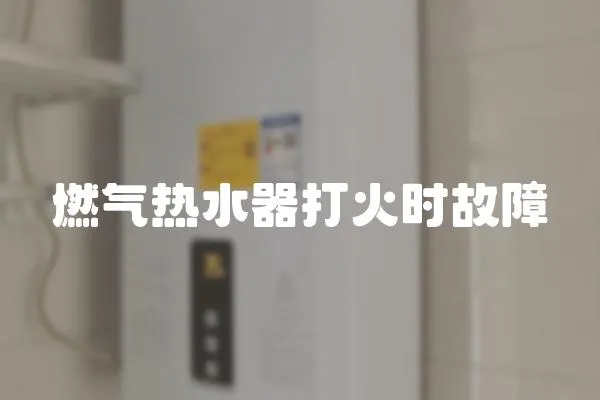 燃?xì)鉄崴鞔蚧饡r故障