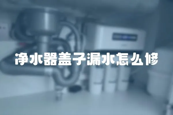 凈水器蓋子漏水怎么修