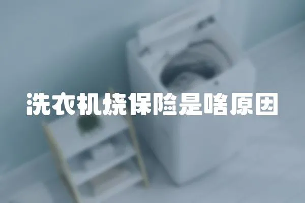 洗衣機(jī)燒保險(xiǎn)是啥原因