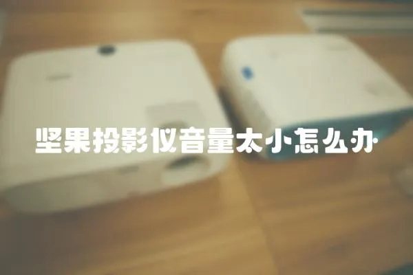 堅果投影儀音量太小怎么辦