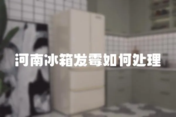 河南冰箱發霉如何處理