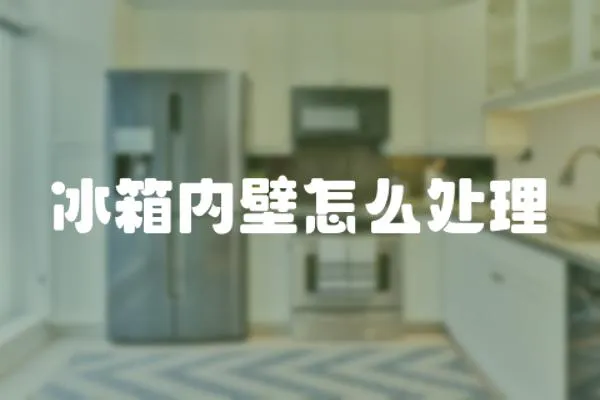 冰箱內壁怎么處理