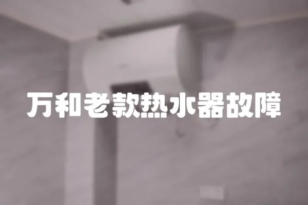 萬和老款熱水器故障