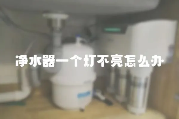 凈水器一個燈不亮怎么辦
