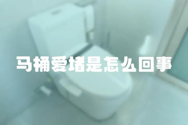 馬桶愛堵是怎么回事