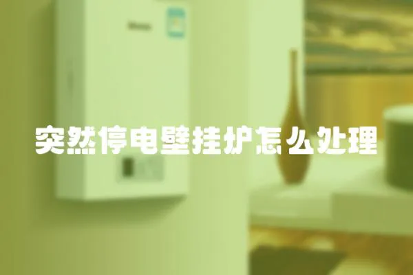 突然停電壁掛爐怎么處理
