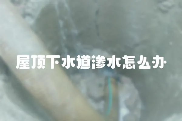 屋頂下水道滲水怎么辦
