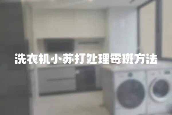 洗衣機小蘇打處理霉斑方法