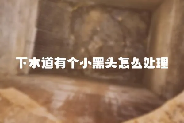 下水道有個小黑頭怎么處理