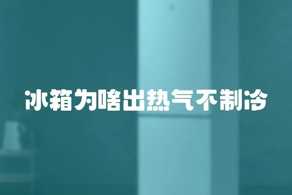 冰箱為啥出熱氣不制冷