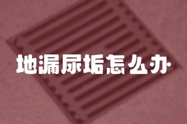 地漏尿垢怎么辦