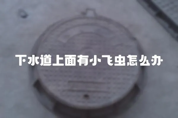 下水道上面有小飛蟲怎么辦