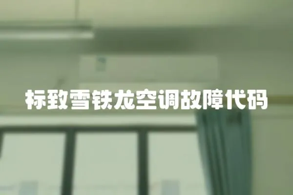 標致雪鐵龍空調故障代碼